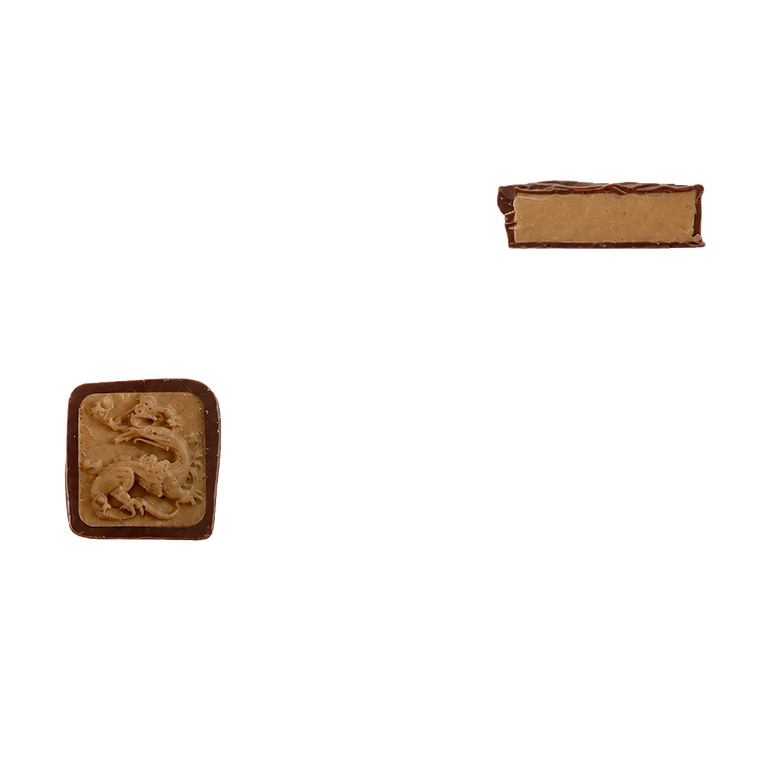 François Ier et salamandre, bonbon de chocolat maison